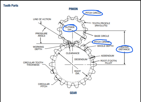 Spur Gear